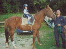 horse_1.jpg